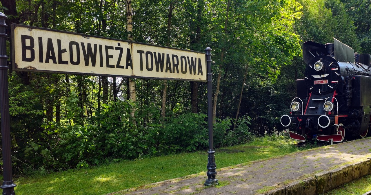 Marzył o południu Francji, wylądował na Podlasiu. Zakochał się w dworcu wiadomości,aktualności,Interia Marzył o południu Francji, wylądował na Podlasiu. Zakochał się w dworcu