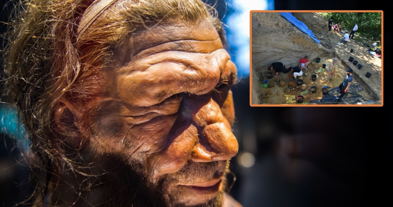 Neandertalczycy w Polsce. Niesamowite odkrycie pod Warszawą