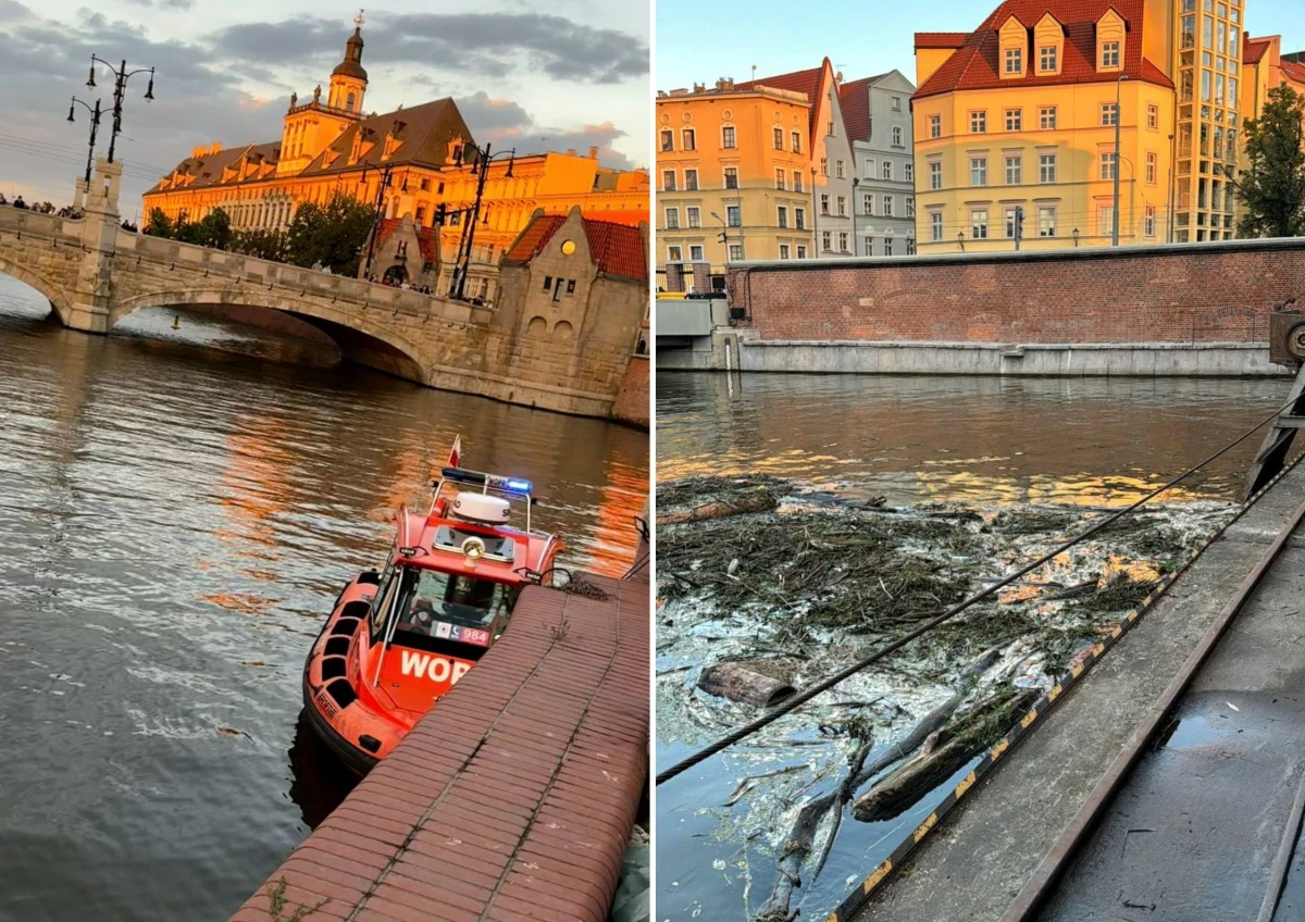 W poniedziałek około godz. 20:00 wyłowiono z Odry we Wrocławiu ciało mężczyzny. Informację potwierdził RMF FM komisarz Wojciech Jabłoński, oficer prasowy Komendanta Miejskiego Policji we Wrocławiu. Od czwartku w mieście poszukiwano zaginionego nastolatka z Wałbrzycha. Na razie jednak nie wiadomo, czy chodzi właśnie o niego. "Przy zwłokach nie było żadnych dokumentów" - ustaliła reporterka RMF FM Martyna Czerwińska. Na miejscu pracuje lekarz, prokurator i funkcjonariusze specjalnej grupy dochodzeniowo-śledczej.

