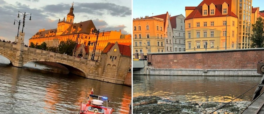W poniedziałek około godz. 20:00 wyłowiono z Odry we Wrocławiu ciało mężczyzny. Informację potwierdził RMF FM komisarz Wojciech Jabłoński, oficer prasowy Komendanta Miejskiego Policji we Wrocławiu. Od czwartku w mieście poszukiwano zaginionego nastolatka z Wałbrzycha. Na razie jednak nie wiadomo, czy chodzi właśnie o niego. "Przy zwłokach nie było żadnych dokumentów" - ustaliła reporterka RMF FM Martyna Czerwińska. Na miejscu pracuje lekarz, prokurator i funkcjonariusze specjalnej grupy dochodzeniowo-śledczej.
