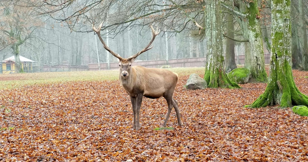 Planujesz wakacje we wrześniu? Wypełnij jeden wniosek, a będzie dużo taniej
