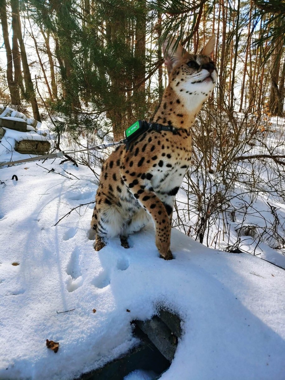 /Archiwum prywatne /