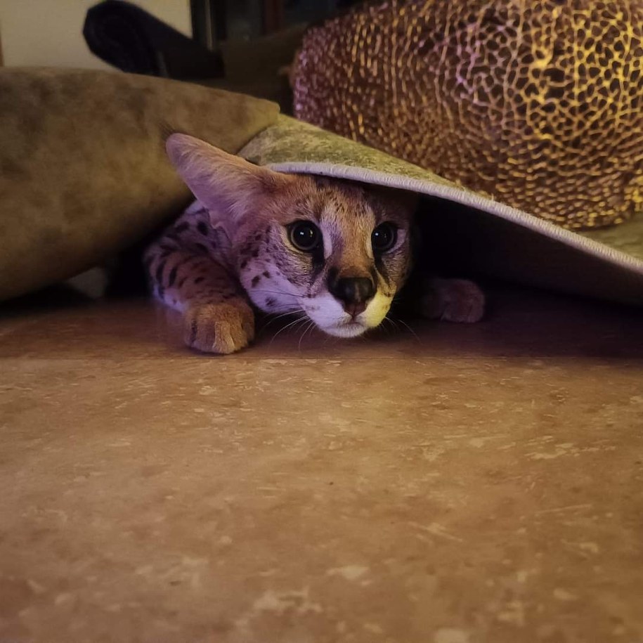 /Archiwum prywatne /