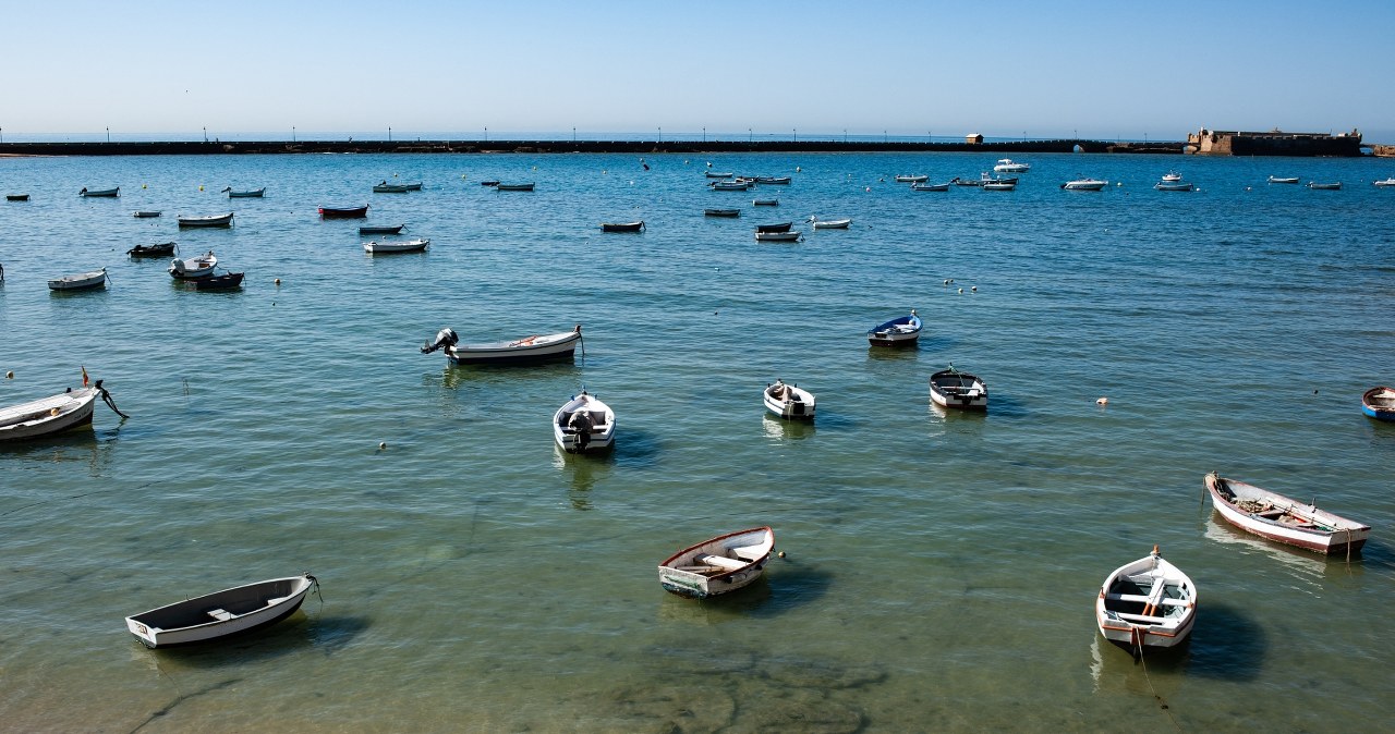 Azjatyckie algi na plażach Hiszpanii. Kolonizują całe wybrzeże
