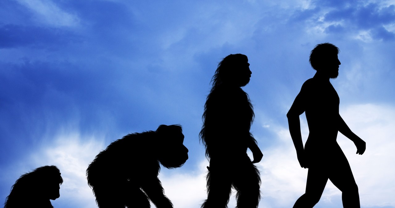 Czy człowiek przez cały czas ewoluuje? Według ekspertki to koniec