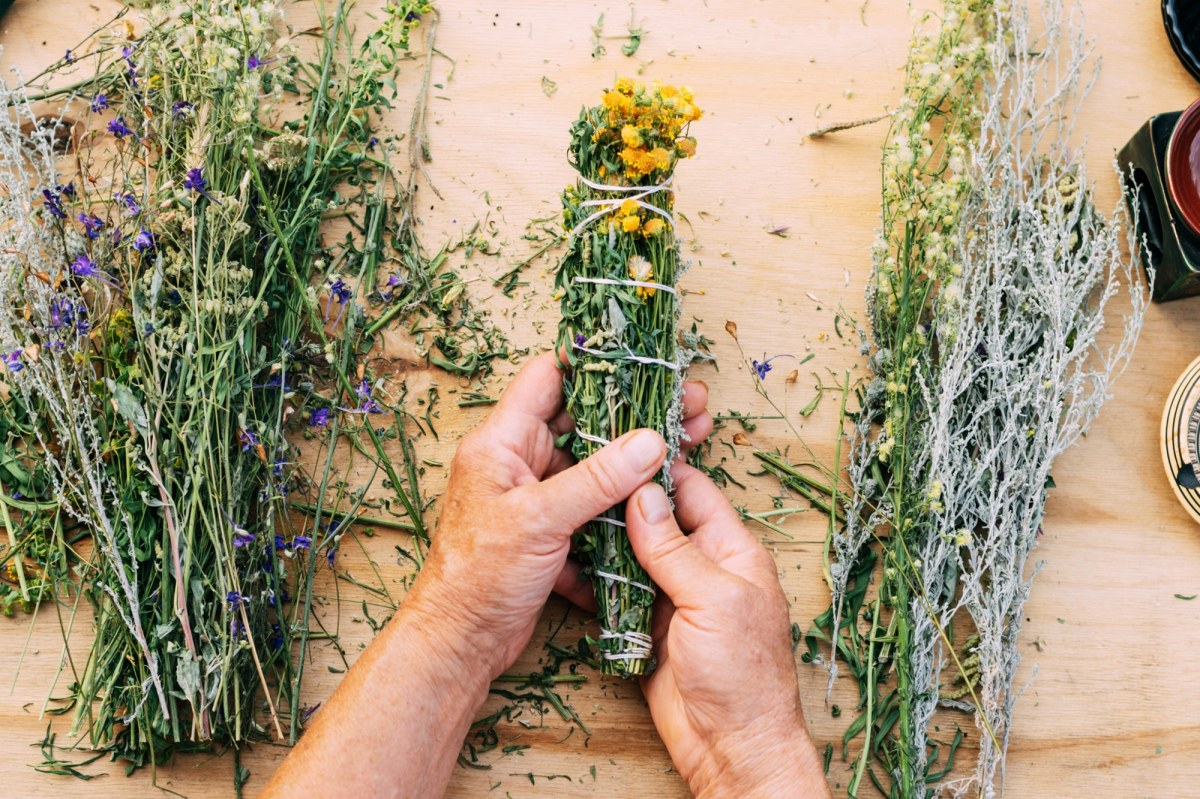 Co dalej z ustawą "lex szarlatan"? Zgłoszono tysiące uwag