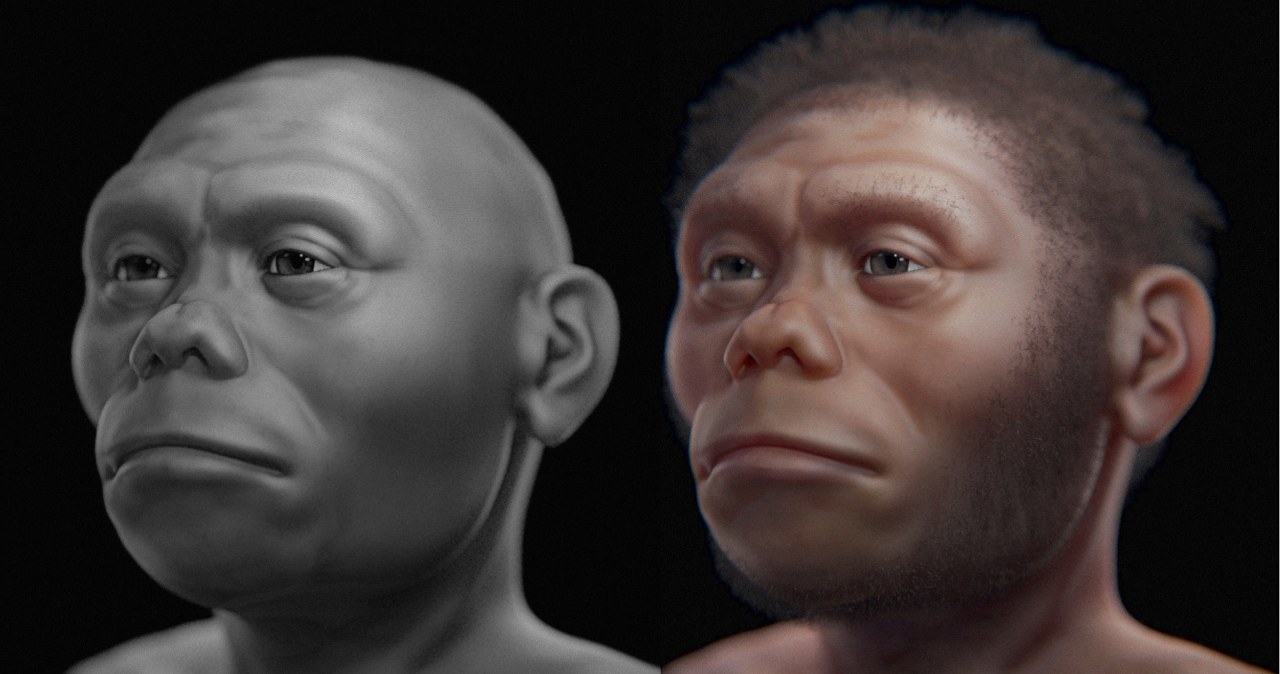 Po Ziemi chodzili "hobbici". Czy już wiemy skąd się wzięli?