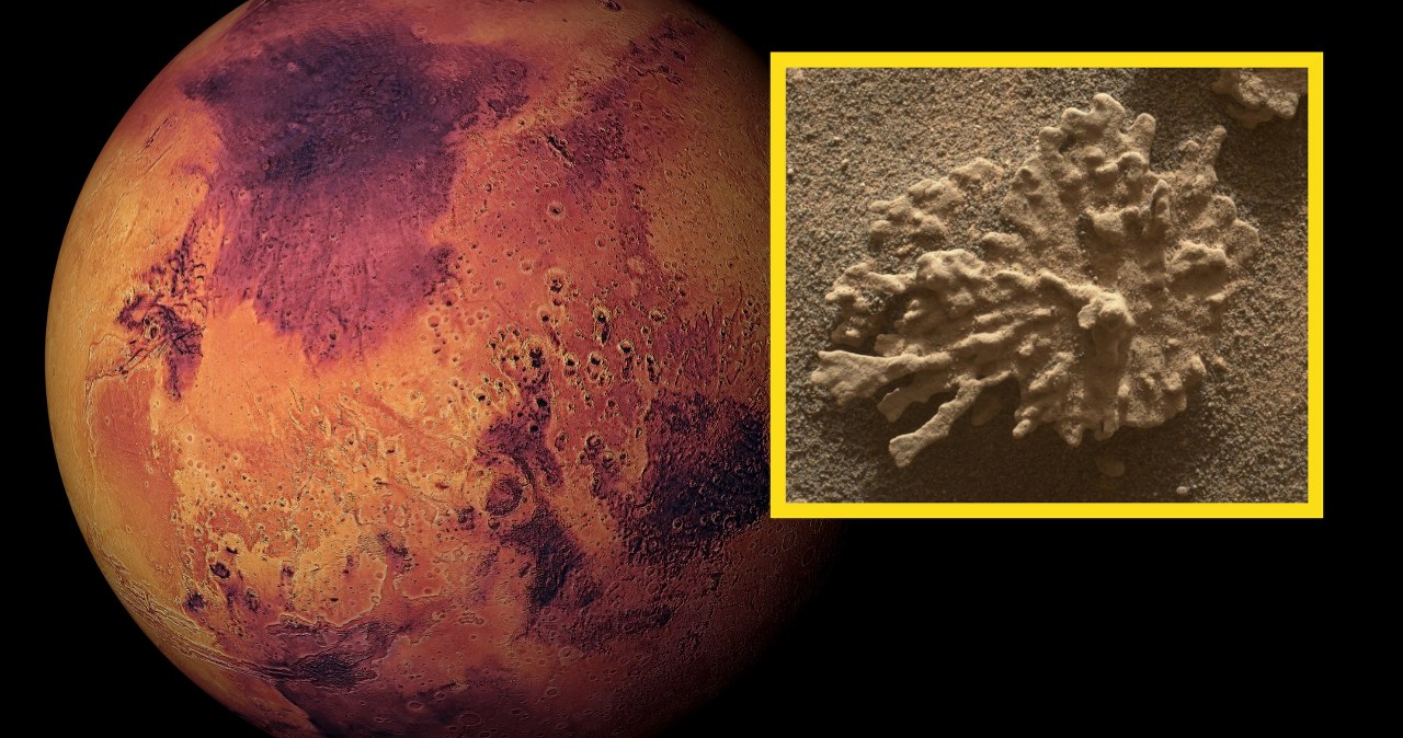 Dowód istnienia wody na Marsie. Curiosity znalazł kamienny koralowiec