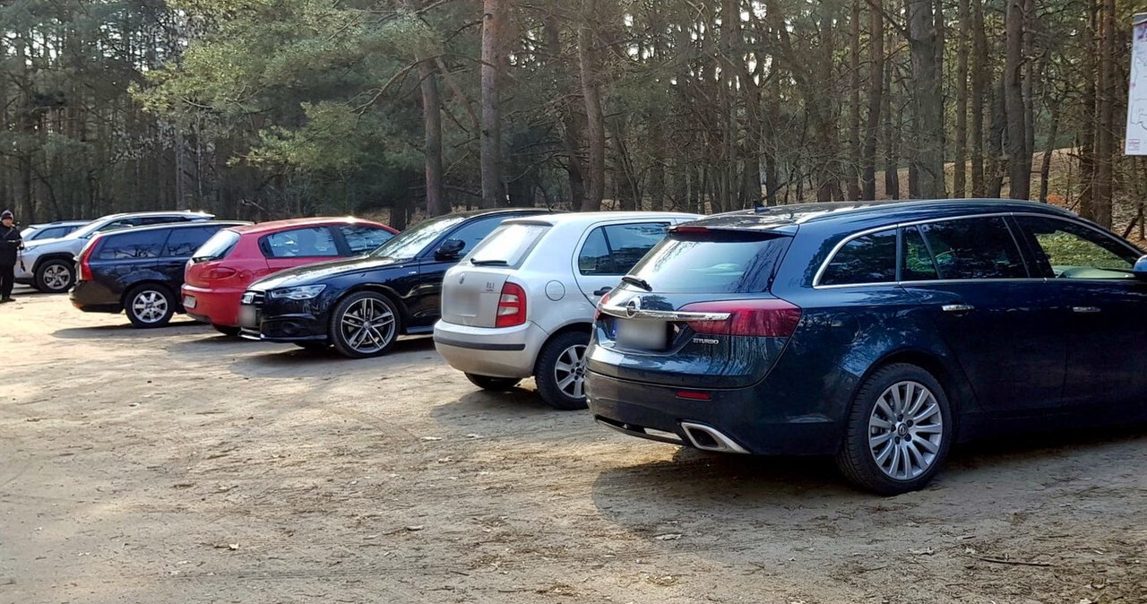 Mandat za parkowanie w lesie? Kierowcy masowo łamią przepisy wiadomości,aktualności,Interia Mandat za parkowanie w lesie? Kierowcy masowo łamią przepisy