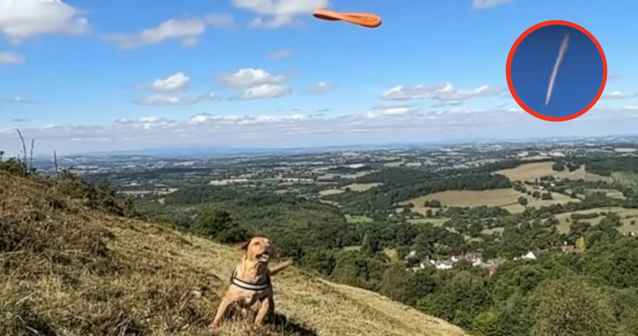 Poszedł z psem na spacer. Uchwycił tajemniczy obiekt na niebie