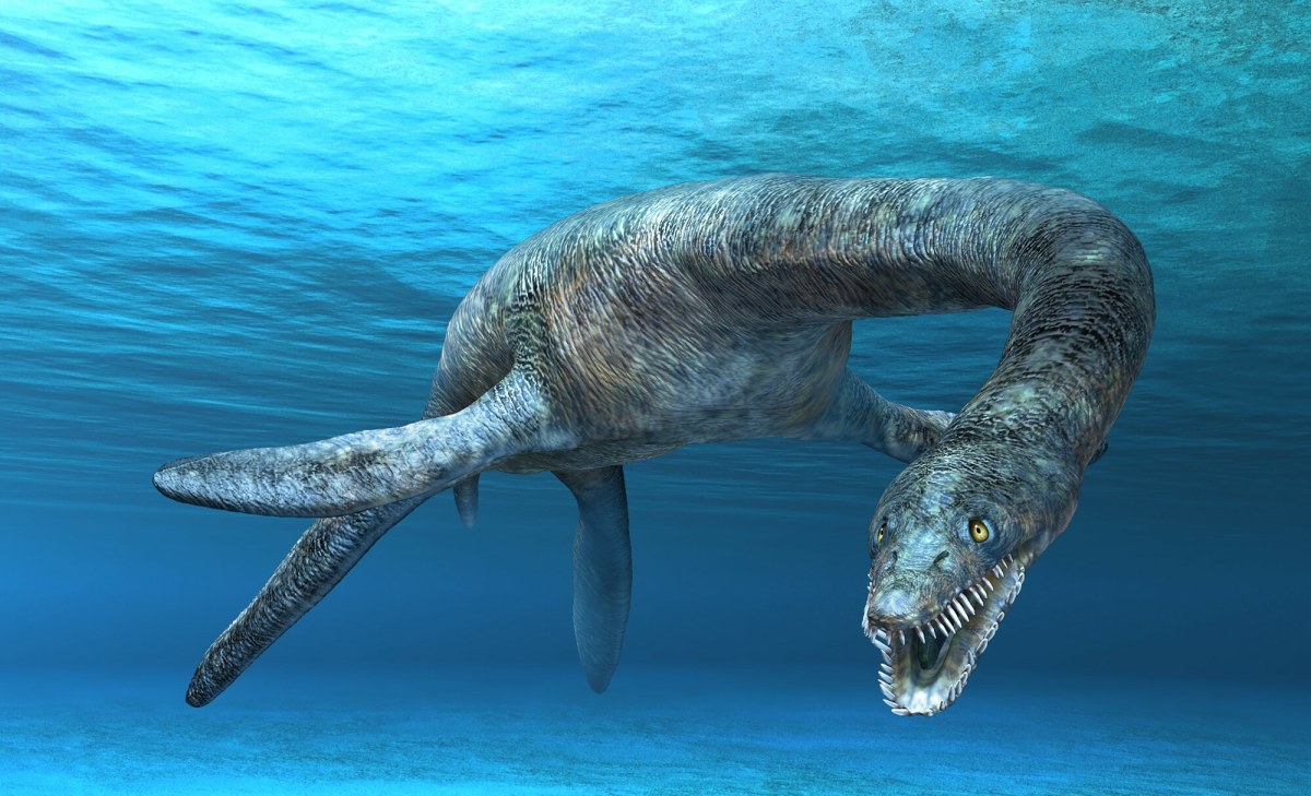 Potwór sprzed milionów lat odkryty w Niemczech. Nowy gatunek zmienia naukę