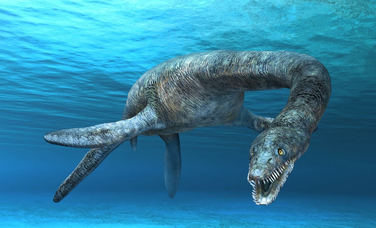 Naukowcy zidentyfikowali nowy gatunek morskiego gada sprzed niemal 183 milionów lat. Skamieniałość, wydobyta z łupków posidoniowych w niemieckim Holzmaden, rzuca nowe światło na ewolucję prehistorycznych ekosystemów oceanicznych.