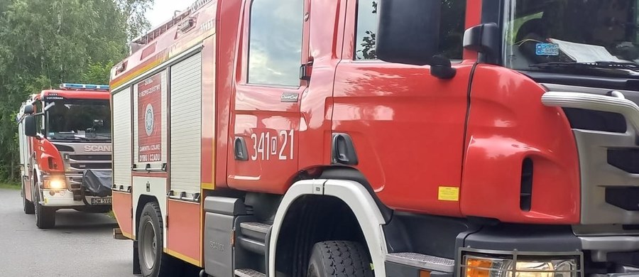 Do 10 lat więzienia grozi dwóm osobom, m.in. 47-letniemu mieszkańcowi powiatu karkonoskiego, który został zatrzymany w związku z niebezpiecznymi znaleziskami na Dolnym Śląsku. Śledczy nie wykluczają kolejnych zatrzymań. Chodzi m.in. o celowo porzuconą na terenie jednej z podwrocławskich miejscowości naczepę ciężarową wypełnioną pojemnikami z odpadami niebezpiecznymi - kwasem azotowym i siarkowym.