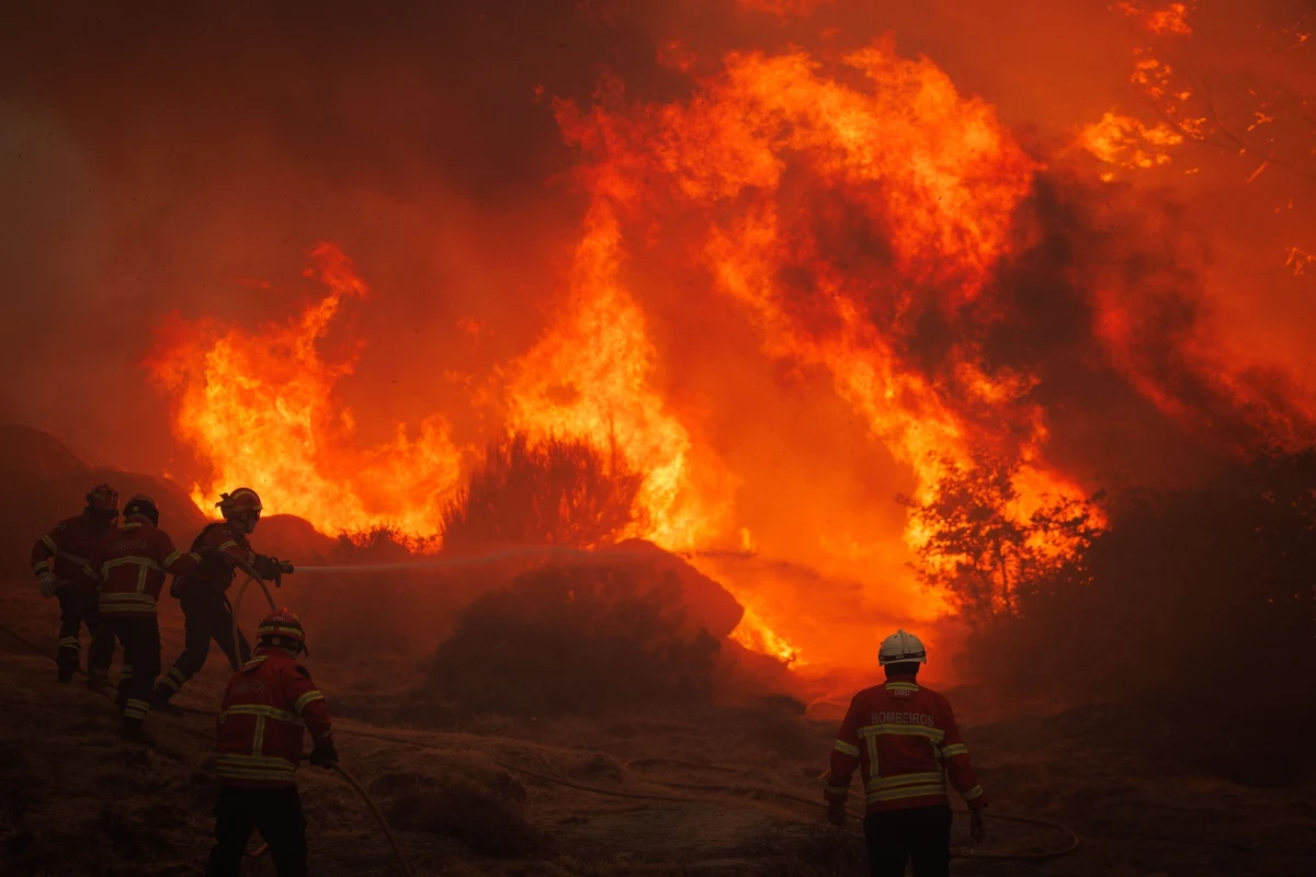 Portugalia cały czas walczy z pożarami i upałami. Podjęto decyzję o przedłużeniu stanu alarmowego - co najmniej do 13 sierpnia. Władze rozważają zaostrzenie kar dla podpalaczy. 