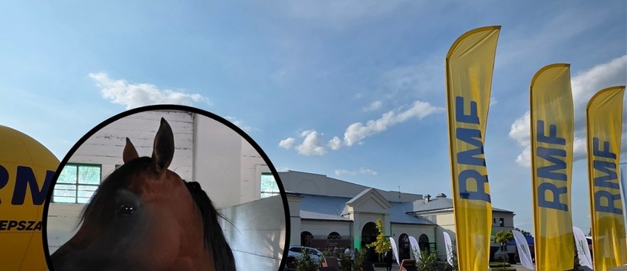 115 koni zaprezentowanych zostanie w 47. Narodowym Pokazie Koni Arabskich Czystej Krwi w stadninie w Janowie Podlaskim (Lubelskie). W niedzielę najlepsze konie powalczą o czempionaty, a wieczorem odbędzie się aukcja Pride of Poland.