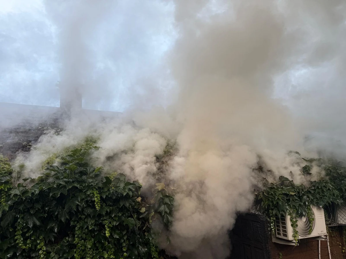 Prawie 3 godziny walczyli strażacy z pożarem na terenie Jura Parku w Bałtowie (województwo świętokrzyskie). Nie ma osób poszkodowanych. 