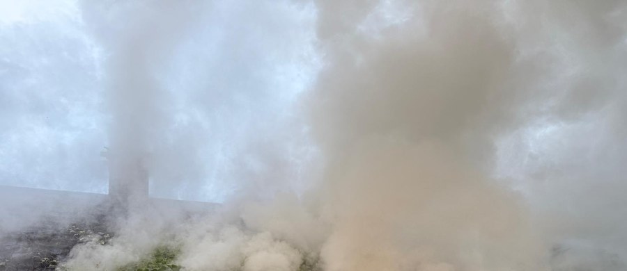 Prawie 3 godziny walczyli strażacy z pożarem na terenie Jura Parku w Bałtowie (województwo świętokrzyskie). Nie ma osób poszkodowanych. 