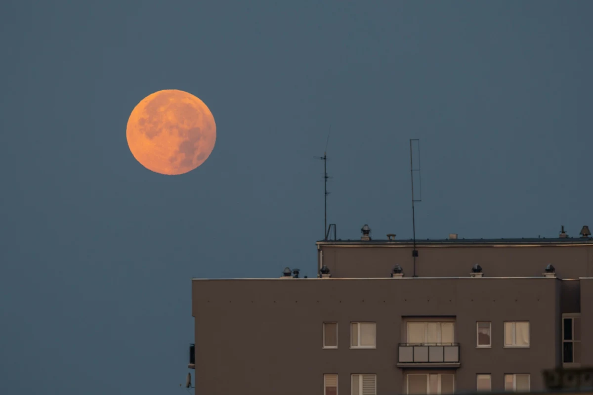 Zbożowy Księżyc od wieków fascynuje ludzi nie tylko swoim pięknem, ale także znaczeniem kulturowym. Choć w tym roku nie będzie to tzw. superpełnia, zjawisko zdecydowanie zasługuje na uwagę.