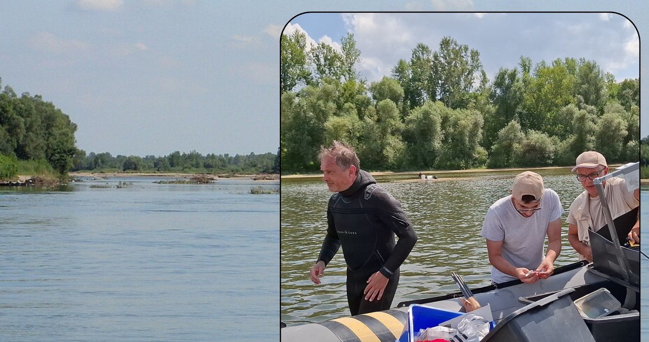 W rzece czekał wielki skarb. Największe tego typu odkrycie w Europie