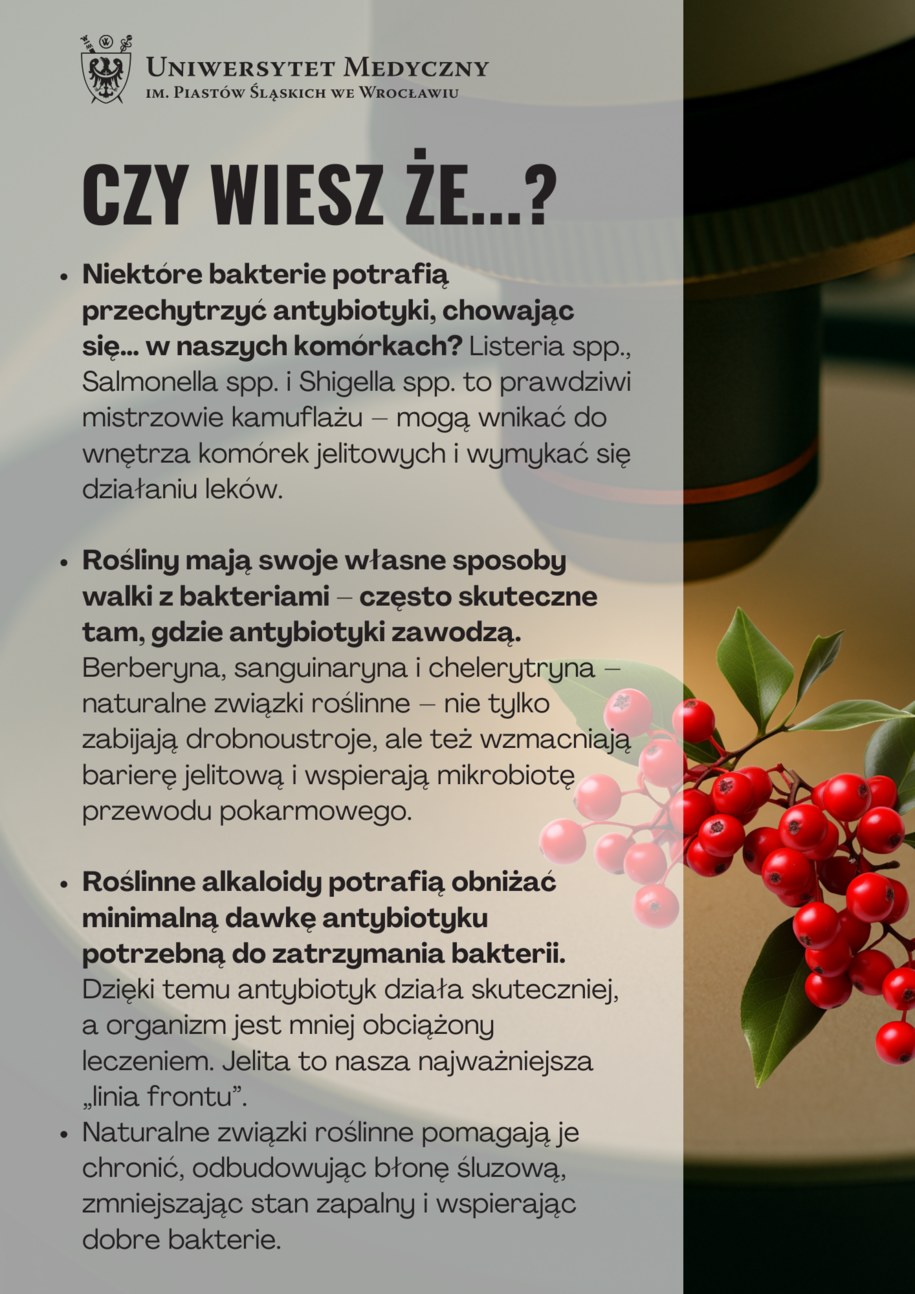 /Materiały prasowe