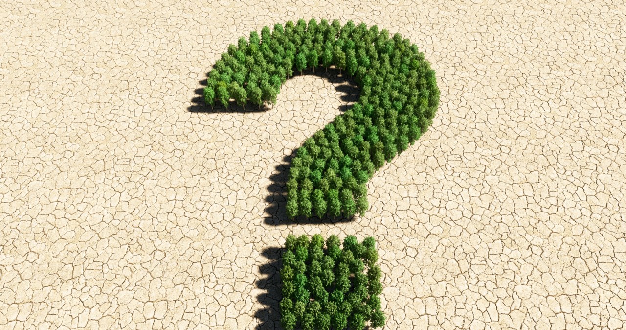 Sierpień, QUIZ i Ty. 10 punktów zdobędzie tylko mistrz!