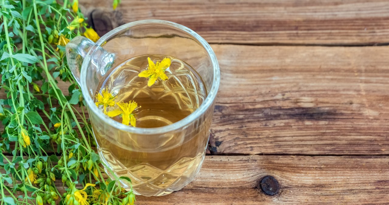 Masz wybuchy złości i ciągle chodzisz spięty? To ziele może ci pomóc!