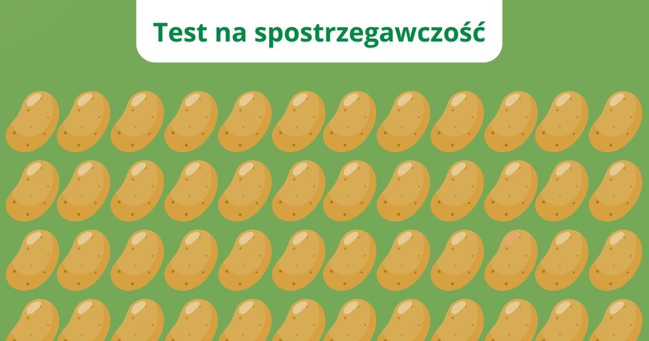 Spostrzegawcze wyzwanie. Widzisz bulwę inną niż wszystkie?