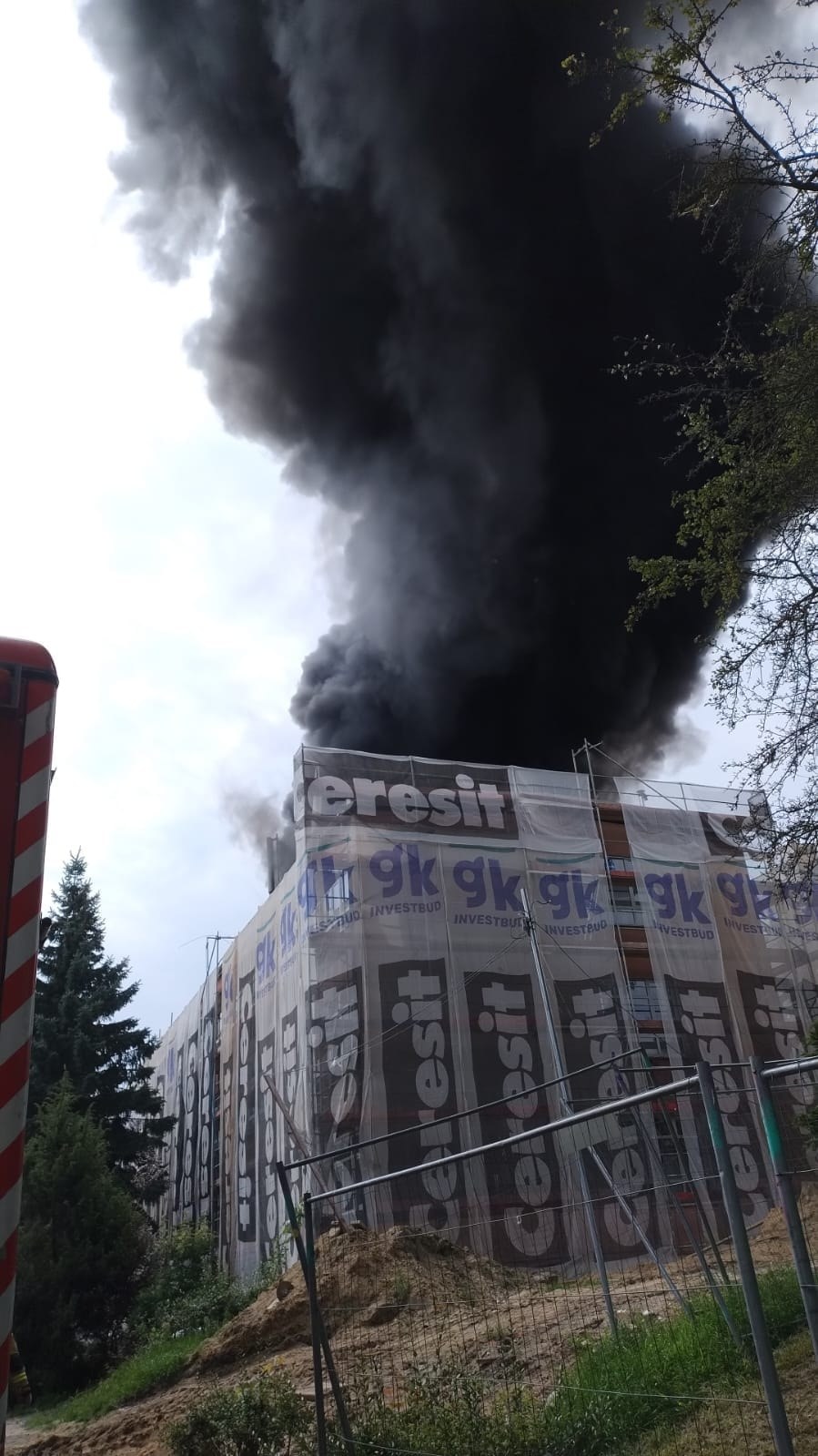 /Policja Zielona Góra /Policja