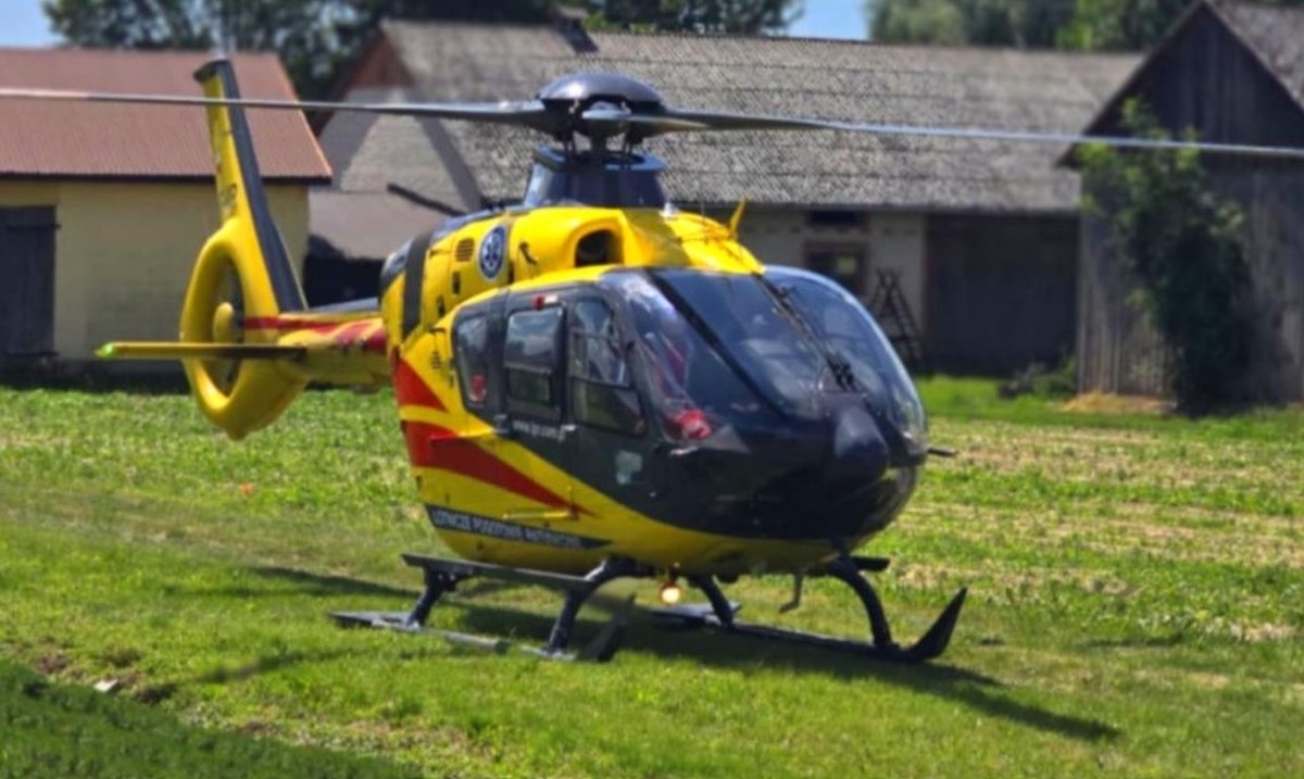 Czterolatka pogryziona przez psa. "Częściowo zdjęta skóra głowy"