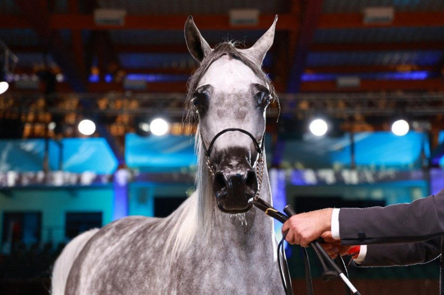 /Tomasz Staniszewski /RMF FM