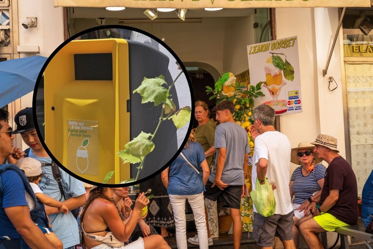 Cytrynowy sorbet – letni hit i śmieciowy koszmar. Tak poradzili sobie z problemem