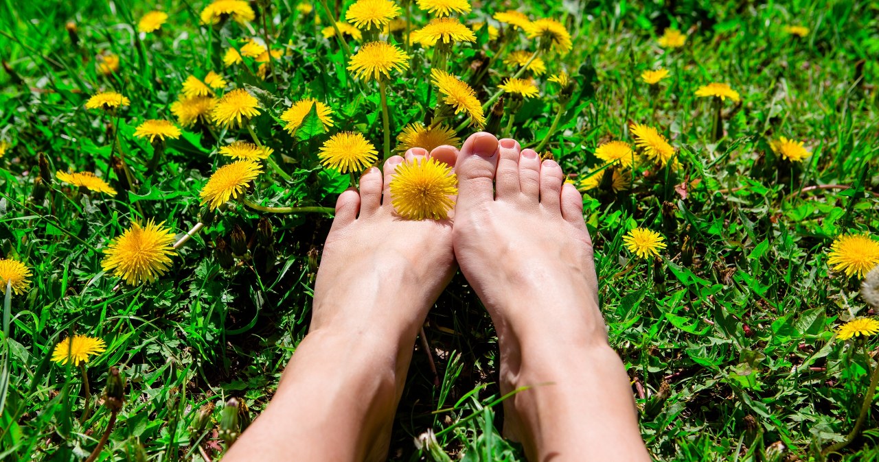Masz to między palcami u stóp. Mikrobiolog zdradza, co tam się kryje