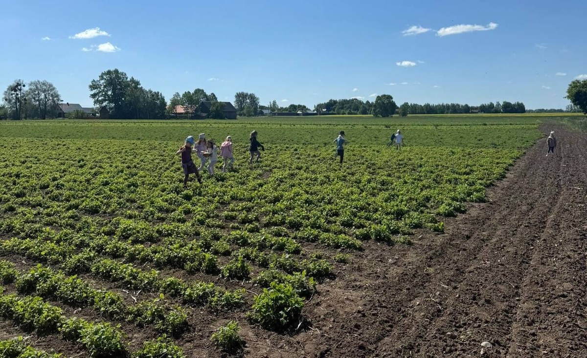 "Pyszne, bo polskie". Odkrywamy kulinarne Podlasie