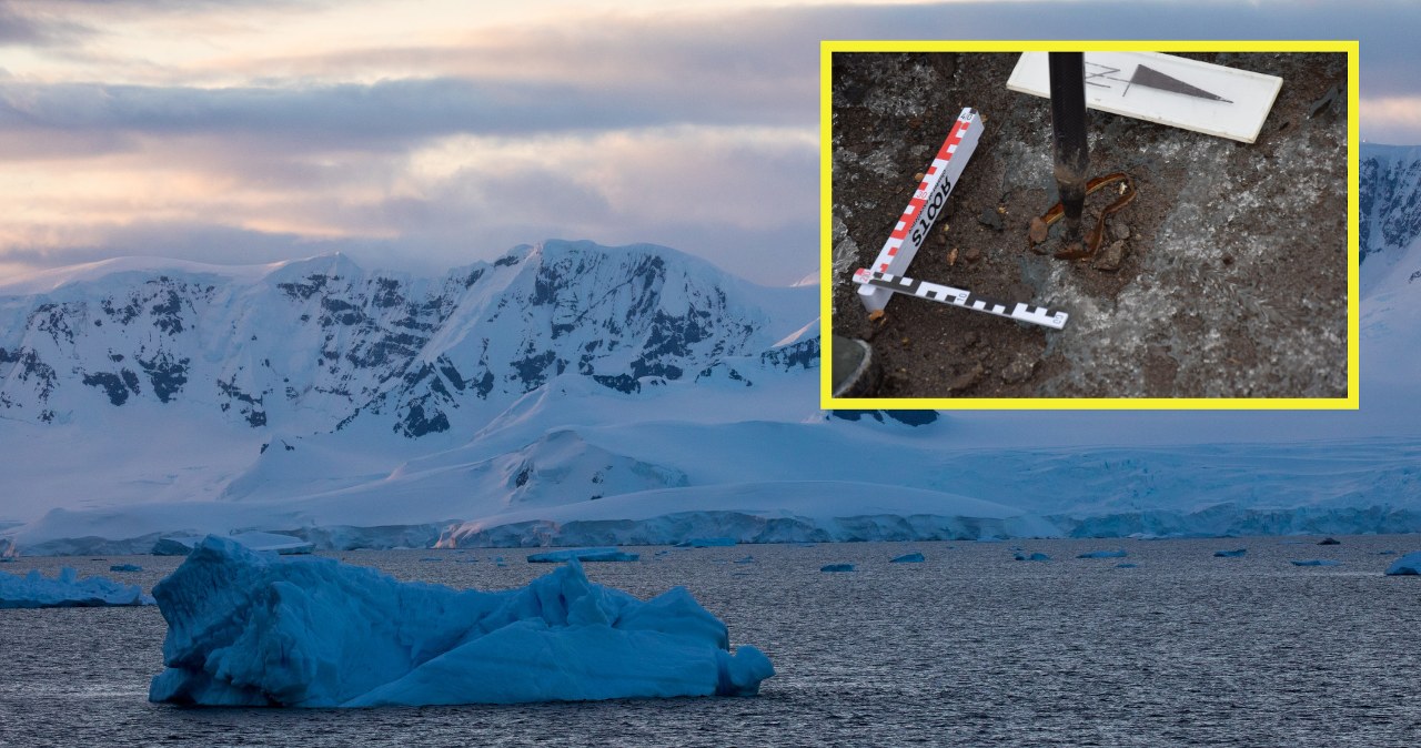 Ponad 60 lat ukryty w lodowcu. Polacy znaleźli szczątki polarnika