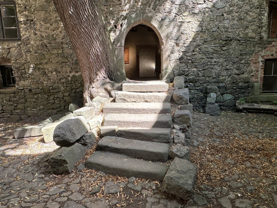 /Biuro Prasowe UJ  /