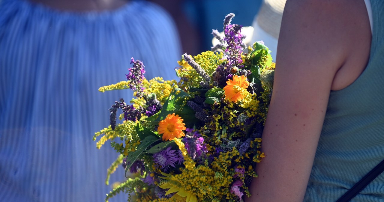 Z czego robi się bukiety na 15 sierpnia? Podstawą zioła i te rośliny