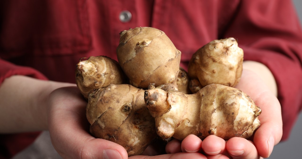 Polacy kiedyś się nim zajadali. Dziś wraca do łask, zwłaszcza u cukrzyków