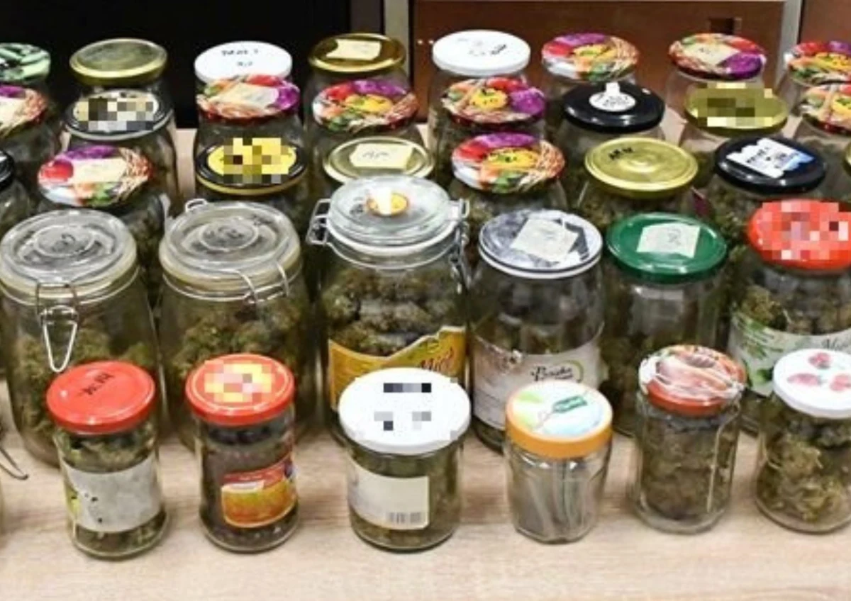 Zamiast ogórków w zalewie - marihuana w słoikach. Policjanci z Pułtuska, zamiast degustować domowe przetwory, odkryli na jednej z posesji profesjonalną plantację konopi, a obok niej pokaźny zapas gotowego suszu i grzybków o działaniu psychoaktywnym.