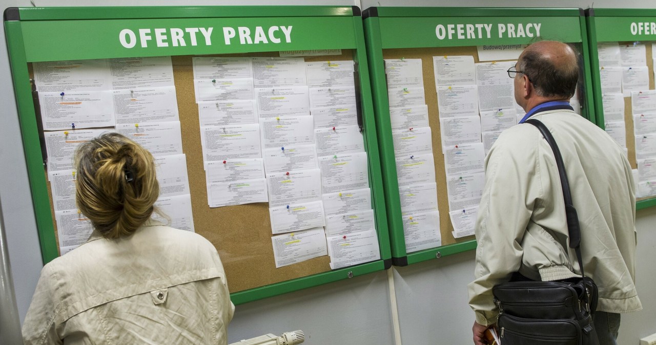 Coraz mniej ofert na rynku pracy. Firmy nie chcą zatrudniać juniorów
