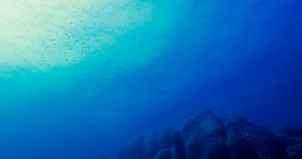 Oceany skrywają więcej, niż myślisz. Odkryli 20 struktur na dnie Pacyfiku