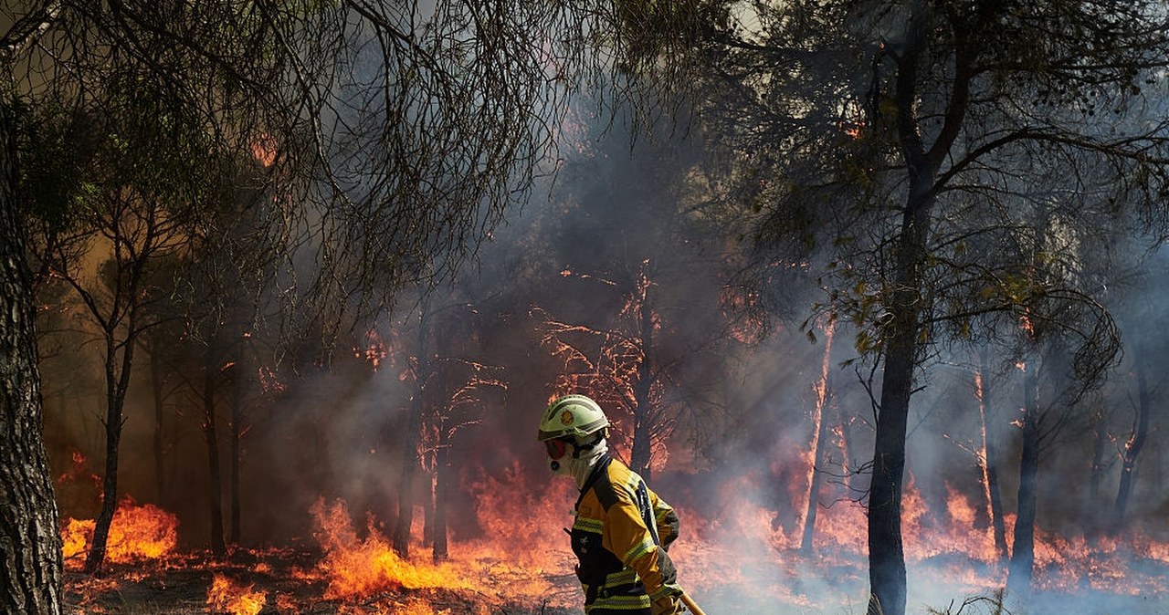 Strażacy w Europie walczą bez przerwy. "Śpimy z jednym okiem otwartym"
