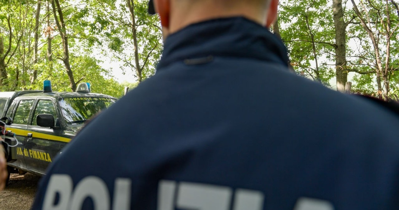 wiadomości,aktualności,Interia Ciało w sosnowym lesie. W sprawie pojawił się wątek zaginionego Polaka