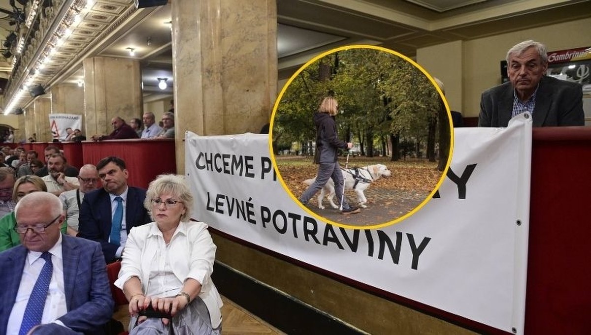 "Kiedy załatwisz, żeby zastrzelili jej tego psa?". Skandal z udziałem posłanki w Czechach