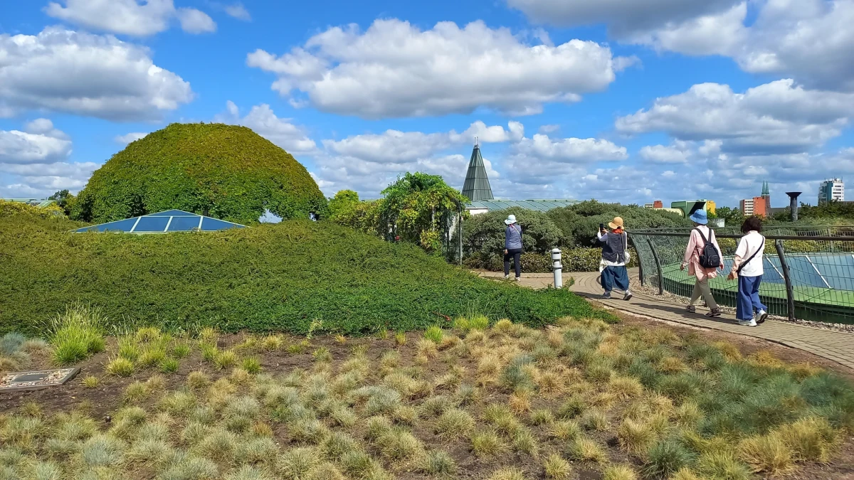 Warszawa dołączyła do elitarnego grona europejskich miast, które mogą pochwalić się jednym z najpiękniejszych i najbardziej niezwykłych ogrodów na Starym Kontynencie. Ogród na dachu Biblioteki Uniwersyteckiej w Warszawie został wyróżniony przez brytyjski dziennik "The Guardian" jako jedna z dziesięciu najpiękniejszych "ukrytych pereł" ogrodowych Europy. 