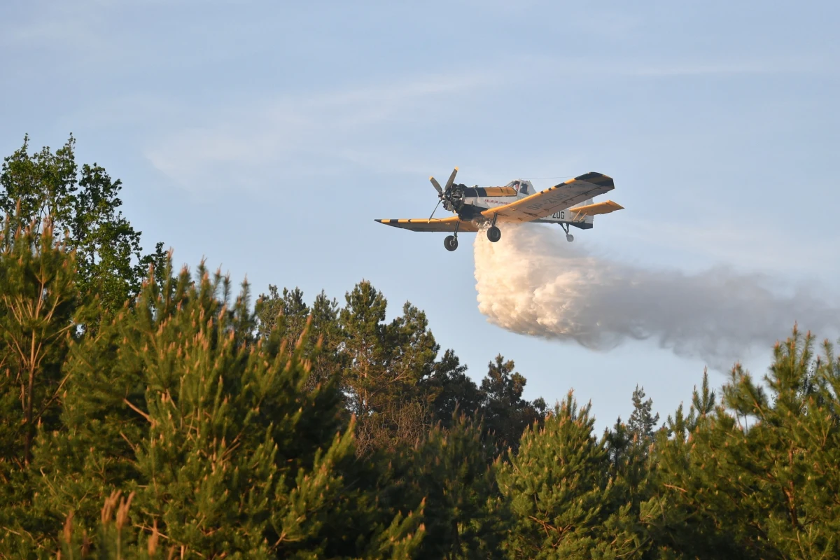 Na poligonie w podkarpackiej Lipie, niedaleko Stalowej Woli, wybuchł duży pożar. Z ogniem walczy ok. 100 strażaków, którzy są wspierani przez samoloty gaśnicze.