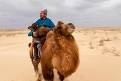 Mongolia. Pomiędzy niebem a ziemią
