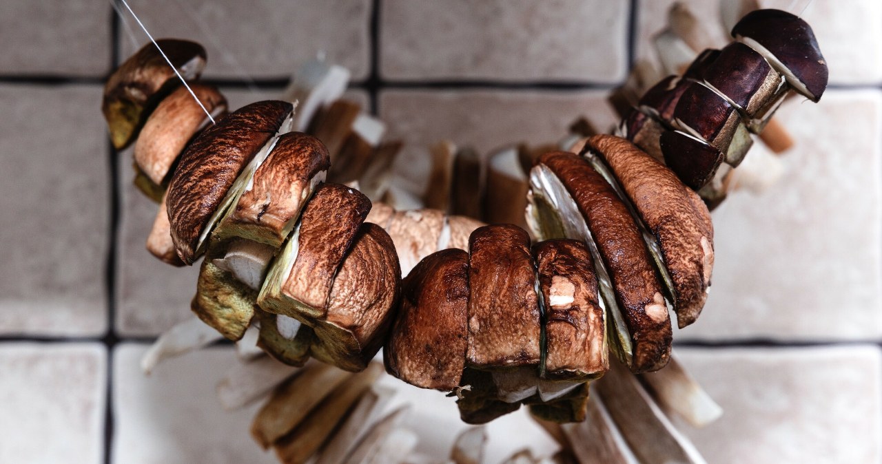 Kilka prostych trików, a suszone grzyby pozostaną smaczne i aromatyczne wiadomości,aktualności,Interia Kilka prostych trików, a suszone grzyby pozostaną smaczne i aromatyczne