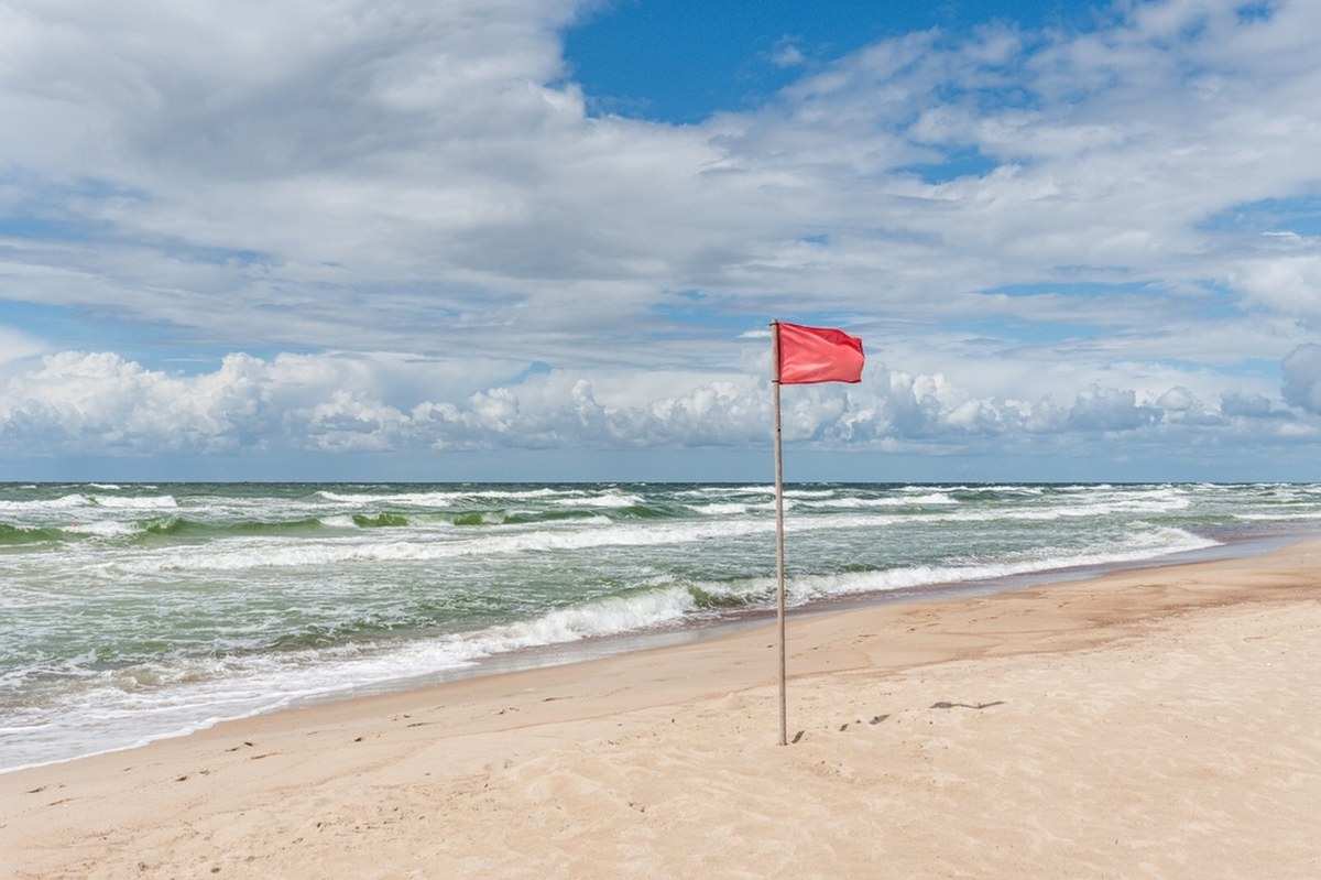 Sinice i bakterie E. coli. Czerwone flagi na kąpieliskach