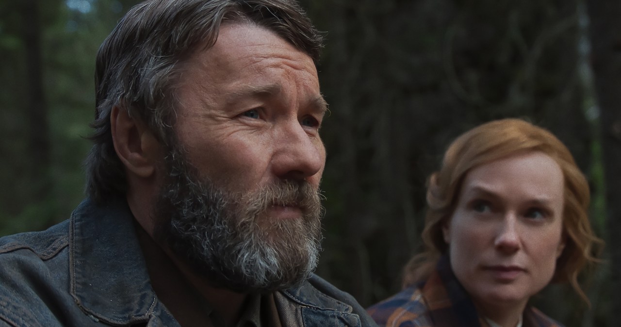 Adaptacja bestselerowej powieści. Poruszający film Netfliksa chwyta ze serce wiadomości,aktualności,Interia Adaptacja bestselerowej powieści. Poruszający film Netfliksa chwyta ze serce