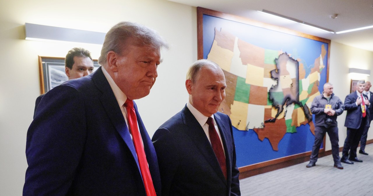 Rosyjscy sportowy tylko na to czekali, nagle pada wyznanie. Trump i Putin bezwzględni wiadomości,aktualności,Interia Rosyjscy sportowy tylko na to czekali, nagle pada wyznanie. Trump i Putin bezwzględni